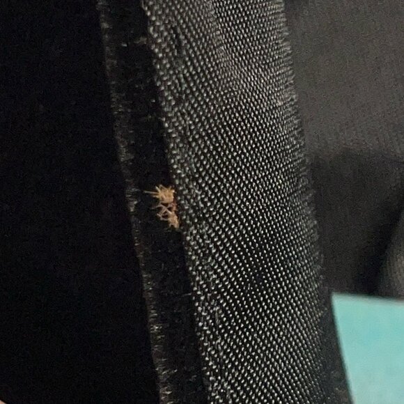 Ann Taylor Womens Vintage Velvet Silk Blend Jacket Size 4P Black Victorian Goth - Picture 7 of 7